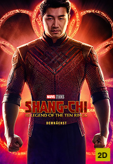 SHANG-CHI AND THE LEGEND OF THE TEN RINGS 2D