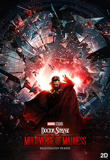 DOCTOR STRANGE IN THE MULTIVERSE OF MADNESS 2D